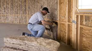 Types of Insulation We Offer in Hawi, HI