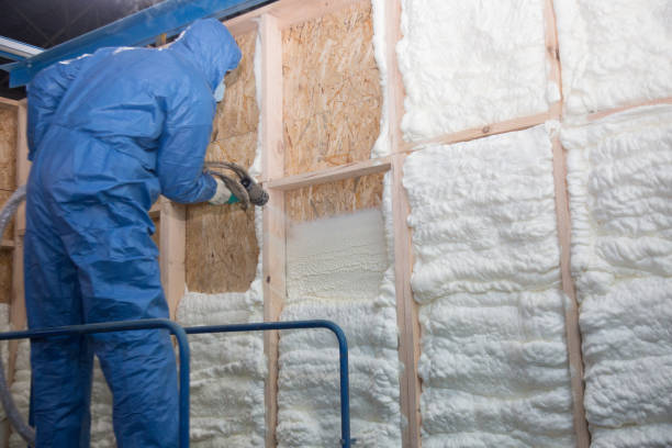 Best Spray Foam Insulation  in Hawi, HI